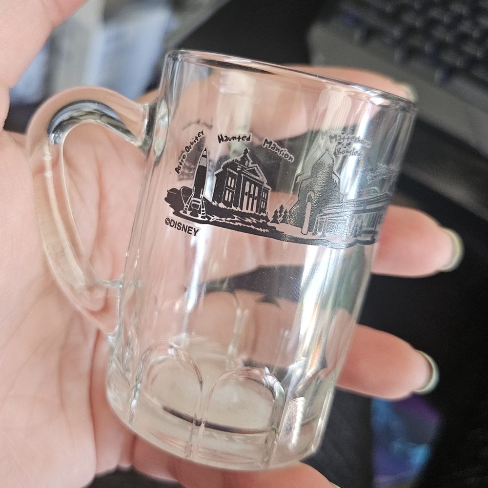 Disneyland Resort Toothpick Holder Glass Stein Rides